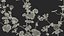 Set Malva Sylvestris Selvatica