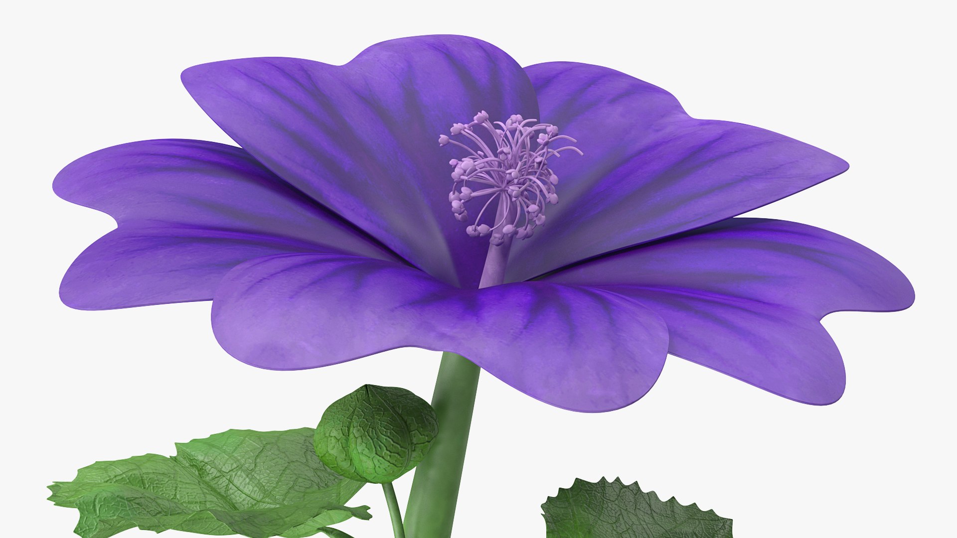 wild malva sylvestris set 3D model https://p.turbosquid.com/ts-thumb/8k/pgpR9b/txJ8rrLD/wildmalvasylvestrisset3dmodel015/jpg/1599807122/1920x1080/fit_q87/65a8e67b166c83651d74afaad0b989f0b7e0565f/wildmalvasylvestrisset3dmodel015.jpg