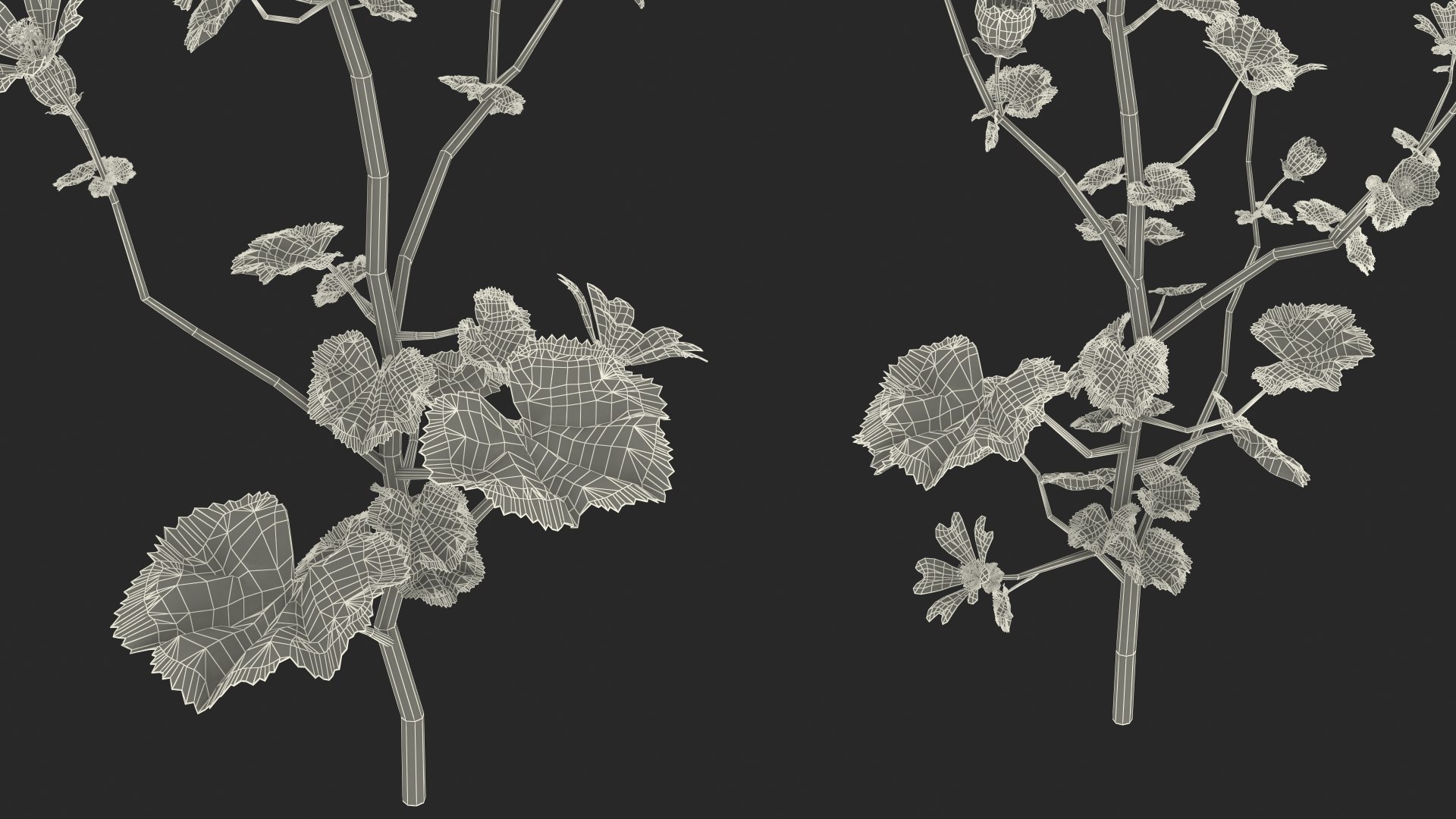 wild malva sylvestris set 3D model https://p.turbosquid.com/ts-thumb/8k/pgpR9b/yjWPEWh4/wildmalvasylvestrisset3dmodel029/jpg/1599807277/1920x1080/fit_q87/dfe421741bbc9b135224d01f0f6ce0f780af33a1/wildmalvasylvestrisset3dmodel029.jpg