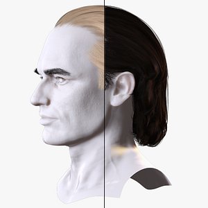 3D model Retro Slicked Hair for Men-Game-Ready Hair Asset
