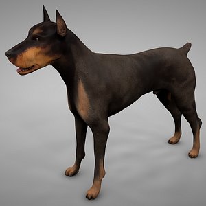 Doberman Rigged L625