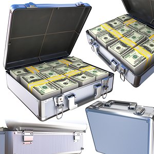 case 300 thousand dollars