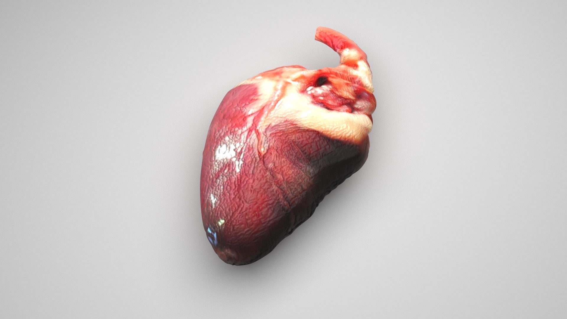 Chicken Heart Model TurboSquid 2242921