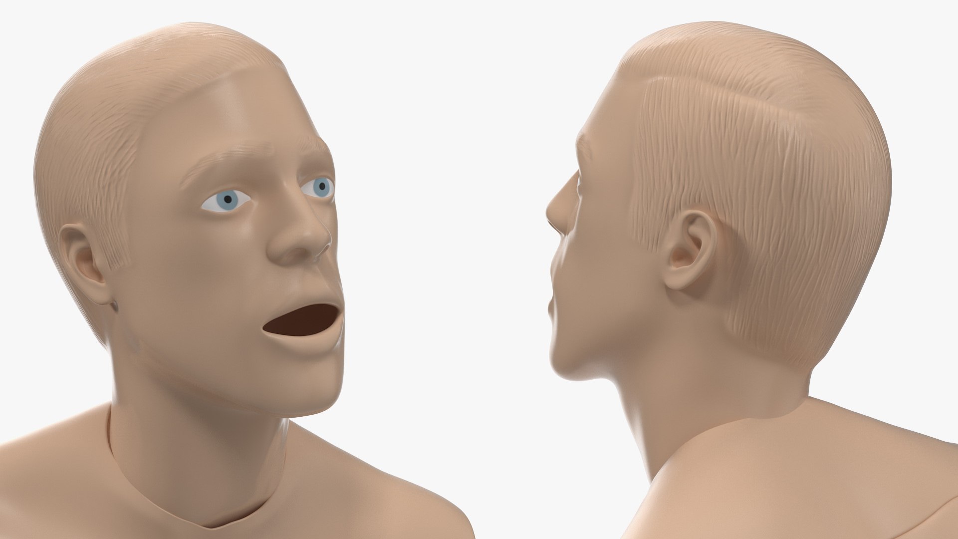 resuscitation manikin torso 3D https://p.turbosquid.com/ts-thumb/8l/NJONyX/TuyYAcmG/resuscitationmanikintorsovray3dmodel013/jpg/1577400703/1920x1080/fit_q87/476714d30cb60c6b5cda8e83217bc16ec363e691/resuscitationmanikintorsovray3dmodel013.jpg