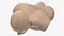 Resuscitation Manikin Torso