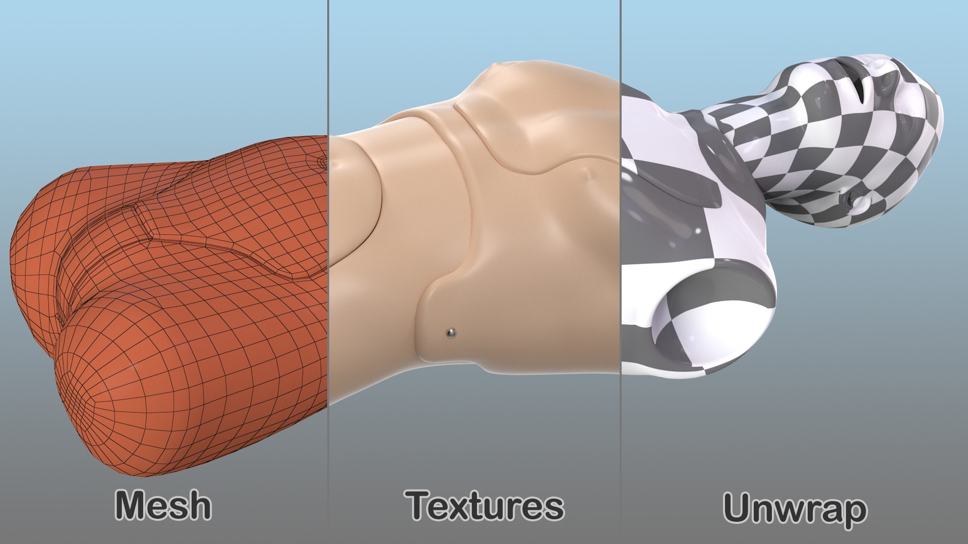 resuscitation manikin torso 3D https://p.turbosquid.com/ts-thumb/8l/NJONyX/w5InJKHa/resuscitationmanikintorsovray3dmodel014/jpg/1577400708/1920x1080/fit_q87/a8dc2185765f600adaed39e75a98448108904f93/resuscitationmanikintorsovray3dmodel014.jpg