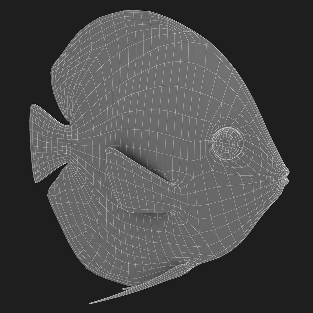 3ds discus fish https://p.turbosquid.com/ts-thumb/8l/NVsCYk/757EmDaS/ryukingoldfish_rr24/jpg/1501815831/1920x1080/fit_q87/53d13973042ce7185cd53488c1dae2be1d6a0f13/ryukingoldfish_rr24.jpg