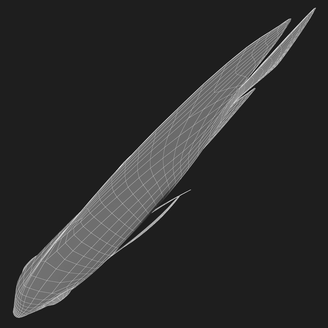 3ds discus fish https://p.turbosquid.com/ts-thumb/8l/NVsCYk/8QYYxd1e/ryukingoldfish_rr28/jpg/1501815831/1920x1080/fit_q87/c85857900f84c66ac30036c5dc6f36a73dfcbe43/ryukingoldfish_rr28.jpg