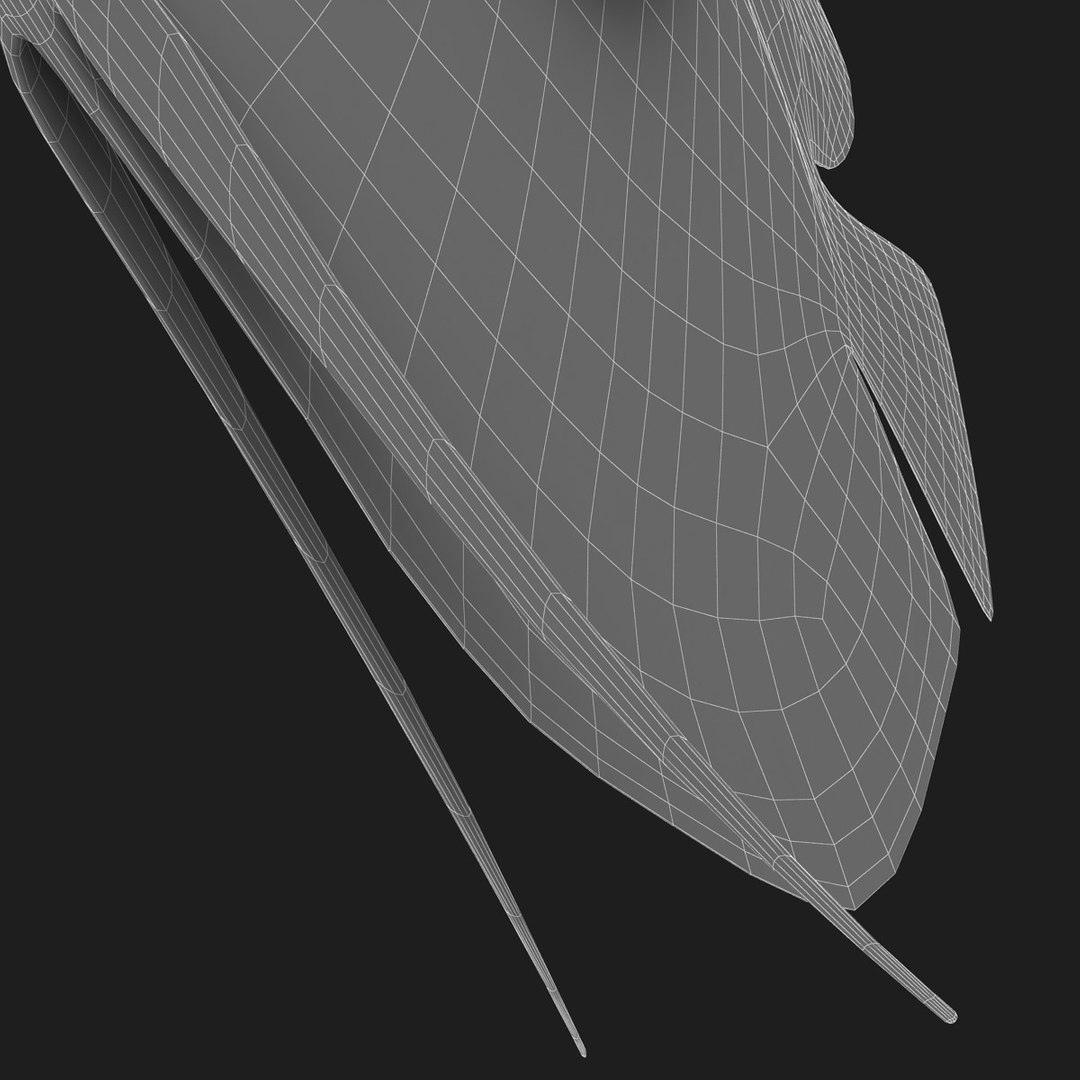 3ds discus fish https://p.turbosquid.com/ts-thumb/8l/NVsCYk/DVnvytLe/ryukingoldfish_rr19/jpg/1501815831/1920x1080/fit_q87/39158def68c9c895c395dbabd586c7d8f98b2afd/ryukingoldfish_rr19.jpg