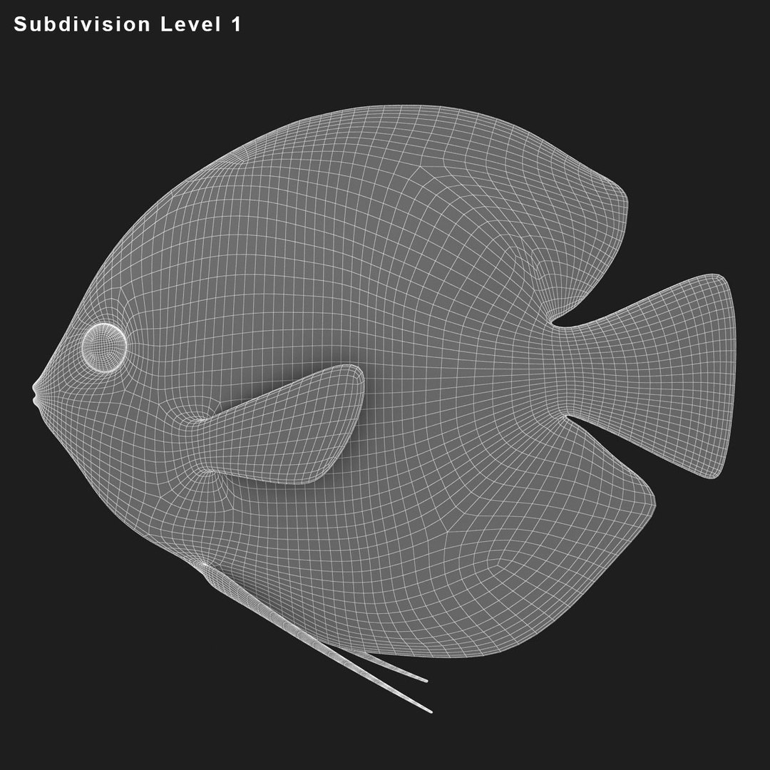 3ds discus fish https://p.turbosquid.com/ts-thumb/8l/NVsCYk/PXOGrGak/ryukingoldfish_rr31/jpg/1501815831/1920x1080/fit_q87/6f5ad87d13162b06dcce4ab6bb759f3639ee11f5/ryukingoldfish_rr31.jpg