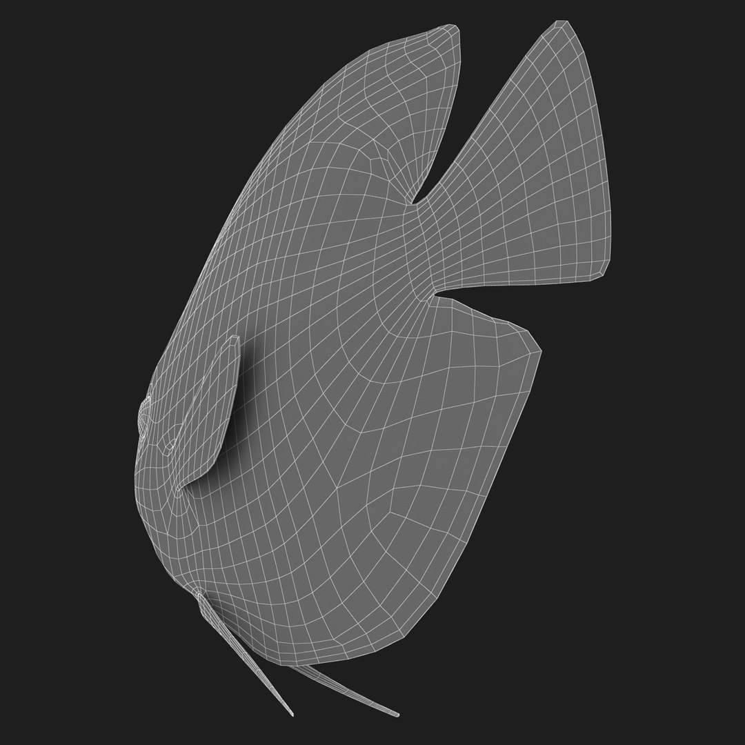 3ds discus fish https://p.turbosquid.com/ts-thumb/8l/NVsCYk/QUuZAG7M/ryukingoldfish_rr23/jpg/1501815831/1920x1080/fit_q87/25a4d500cfa102ee153d73f8704f4d767a635a4a/ryukingoldfish_rr23.jpg
