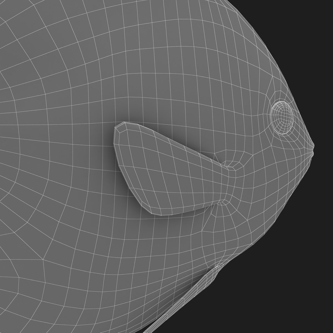 3ds discus fish https://p.turbosquid.com/ts-thumb/8l/NVsCYk/XW1FejQw/ryukingoldfish_rr25/jpg/1501815831/1920x1080/fit_q87/872df78117533a06193b35f3007f9c0e9fc51c80/ryukingoldfish_rr25.jpg