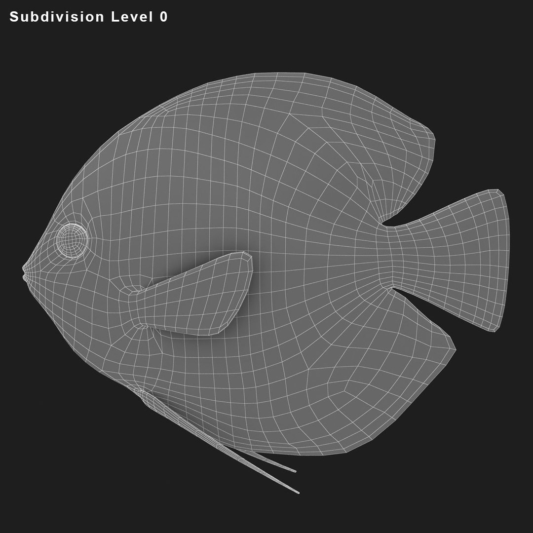 3ds discus fish https://p.turbosquid.com/ts-thumb/8l/NVsCYk/luKQZ71A/ryukingoldfish_rr29/jpg/1501815831/1920x1080/fit_q87/bc92cdcdaaba66d5faf2f597edb63267f26eb4dd/ryukingoldfish_rr29.jpg