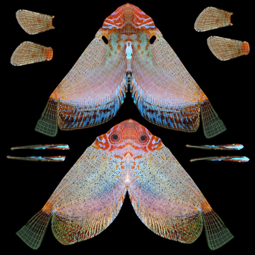3ds discus fish https://p.turbosquid.com/ts-thumb/8l/NVsCYk/nI6QZof7/ryukingoldfish_rr37/jpg/1501815831/1920x1080/fit_q87/047e649a1f679fb19ed1462c8ad7c0b9d0f1d9ab/ryukingoldfish_rr37.jpg