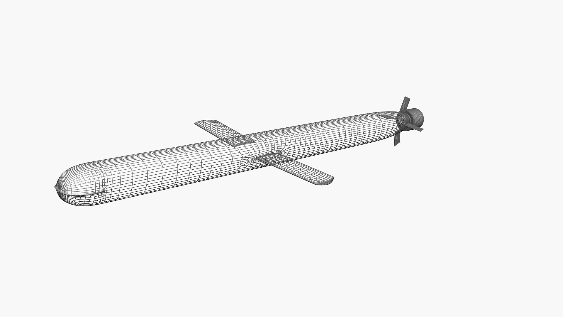 3D BGM-109 Tomahawk Cruise Missile model https://p.turbosquid.com/ts-thumb/8l/Pc1weF/yv/000000/jpg/1748250492/1920x1080/turn_fit_q99/bbe5d79722cff0fde47985faaea13c2d8120bb53/000000-1.jpg