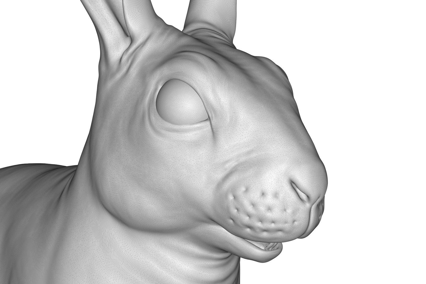 Rabbit Model - TurboSquid 2213508