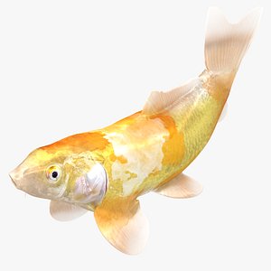 3D Japanese Carp Fish Rigged L1820 model