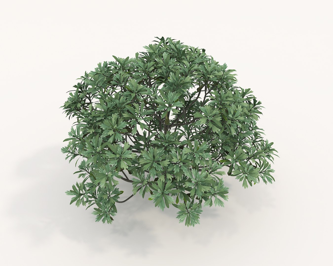 3D Realistic Shrub Bush Set 6 model - TurboSquid 2061662