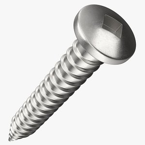 Sheet Metal Screw