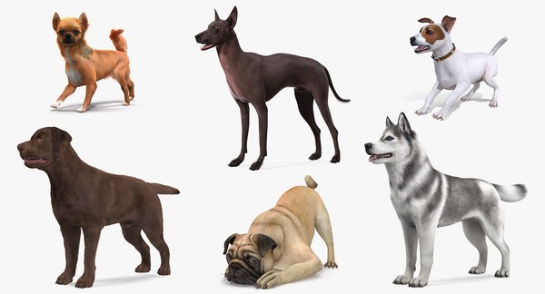 modelo 3d Colección Perros Aparejados 5 - TurboSquid 2174383