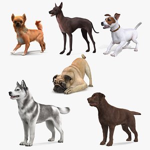 Dogs Rigged Collection 5