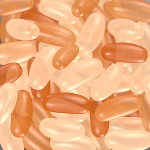 termite eggs 3ds