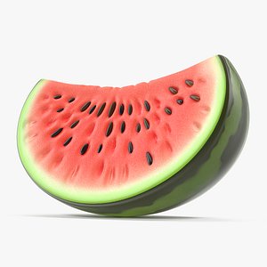 Cartoon Watermelon Slice