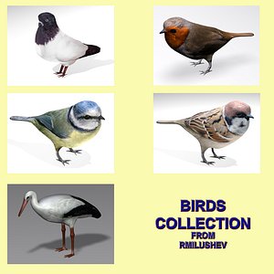 Birds collection