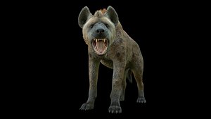 Realistic Spotted Hyena Hyena Rig with Animation