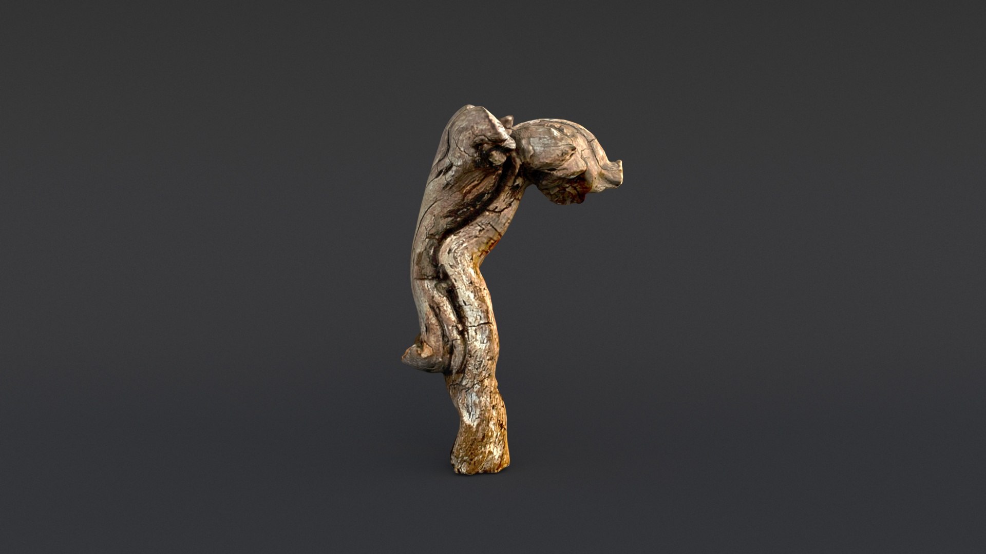 3D model Driftwood https://p.turbosquid.com/ts-thumb/8m/IJWXn6/96/0010005/jpg/1625149665/1920x1080/fit_q87/ed25e872dd960e8775353d30c17b7d38e54ed1d3/0010005.jpg