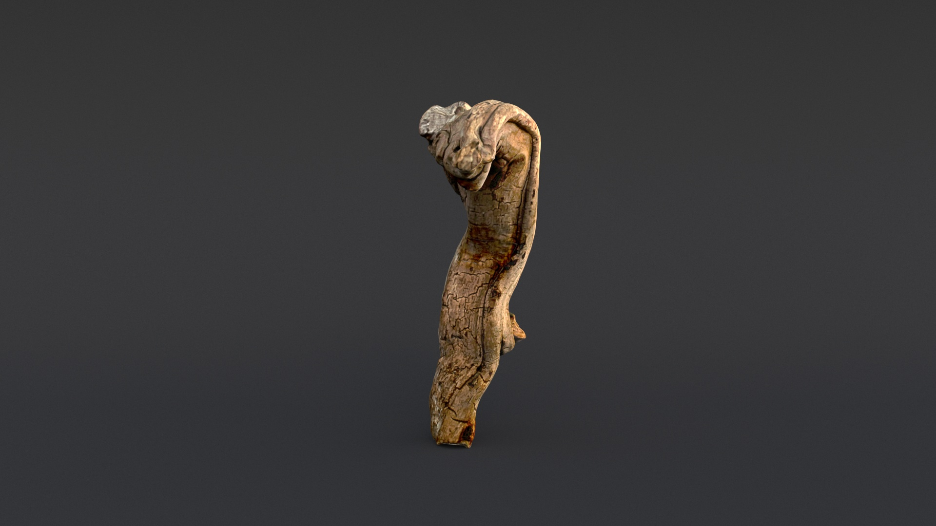 3D model Driftwood https://p.turbosquid.com/ts-thumb/8m/IJWXn6/Tt/001/jpg/1625149605/1920x1080/turn_fit_q99/e0ab7172d211cabd7bbc7097dc28e6b42b5022ee/001-1.jpg