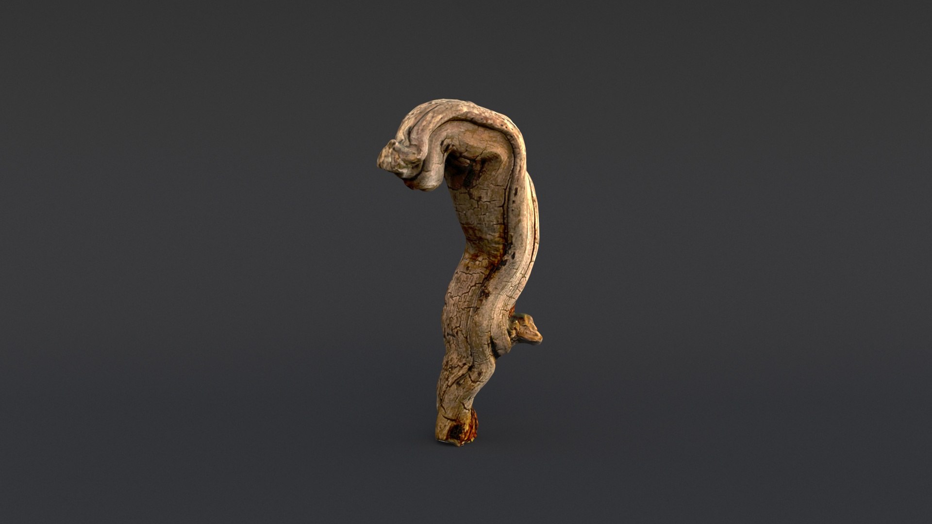 3D model Driftwood https://p.turbosquid.com/ts-thumb/8m/IJWXn6/YW/0010016/jpg/1625149646/1920x1080/fit_q87/bb45c989d98574a09612b9adc9c3ac4ea07c2731/0010016.jpg