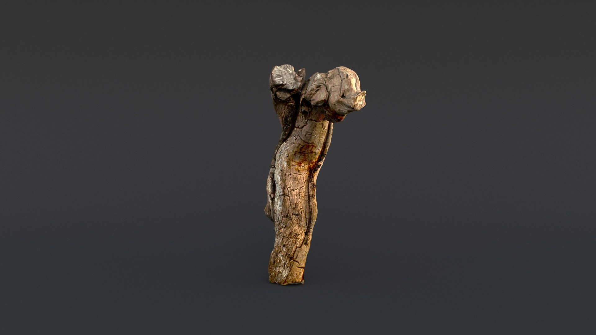 3D model Driftwood https://p.turbosquid.com/ts-thumb/8m/IJWXn6/ad/0010002/jpg/1625149660/1920x1080/fit_q87/33b5497704a79037105dce11a06e563657419ad4/0010002.jpg