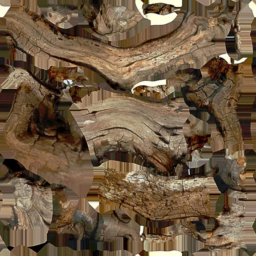 3D model Driftwood https://p.turbosquid.com/ts-thumb/8m/IJWXn6/pV/diffuse_image/jpg/1625149492/1920x1080/fit_q87/fe48ab617778c0e858e3d3ea2549639d8232131f/diffuse_image.jpg