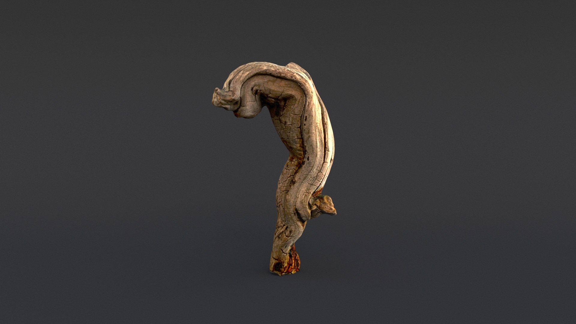 3D model Driftwood https://p.turbosquid.com/ts-thumb/8m/IJWXn6/rk/0010015/jpg/1625149646/1920x1080/fit_q87/72081d014866146f702ab4cd6a8830b4e7d84d39/0010015.jpg