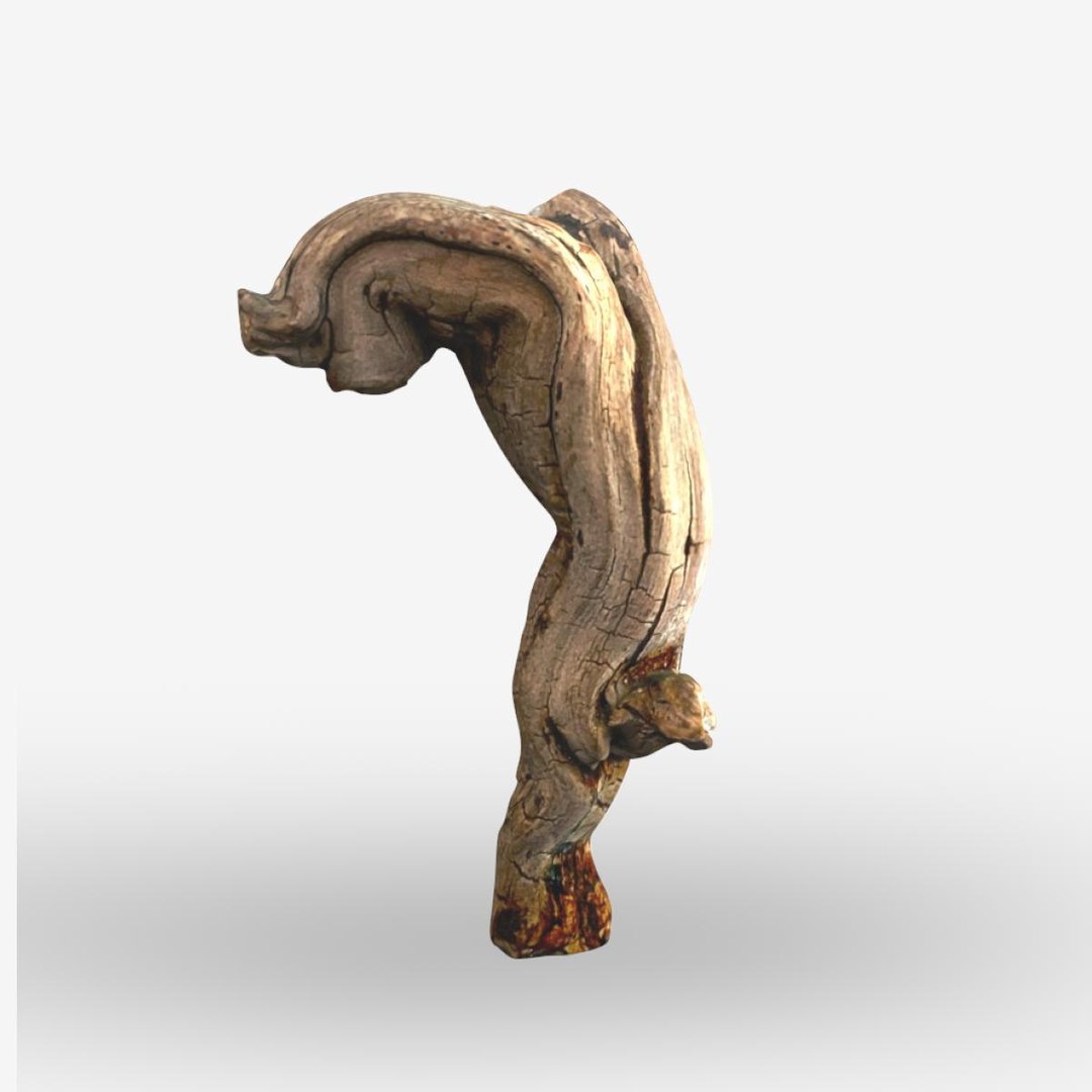 3D model Driftwood - TurboSquid 1753867