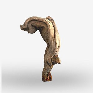 Driftwood
