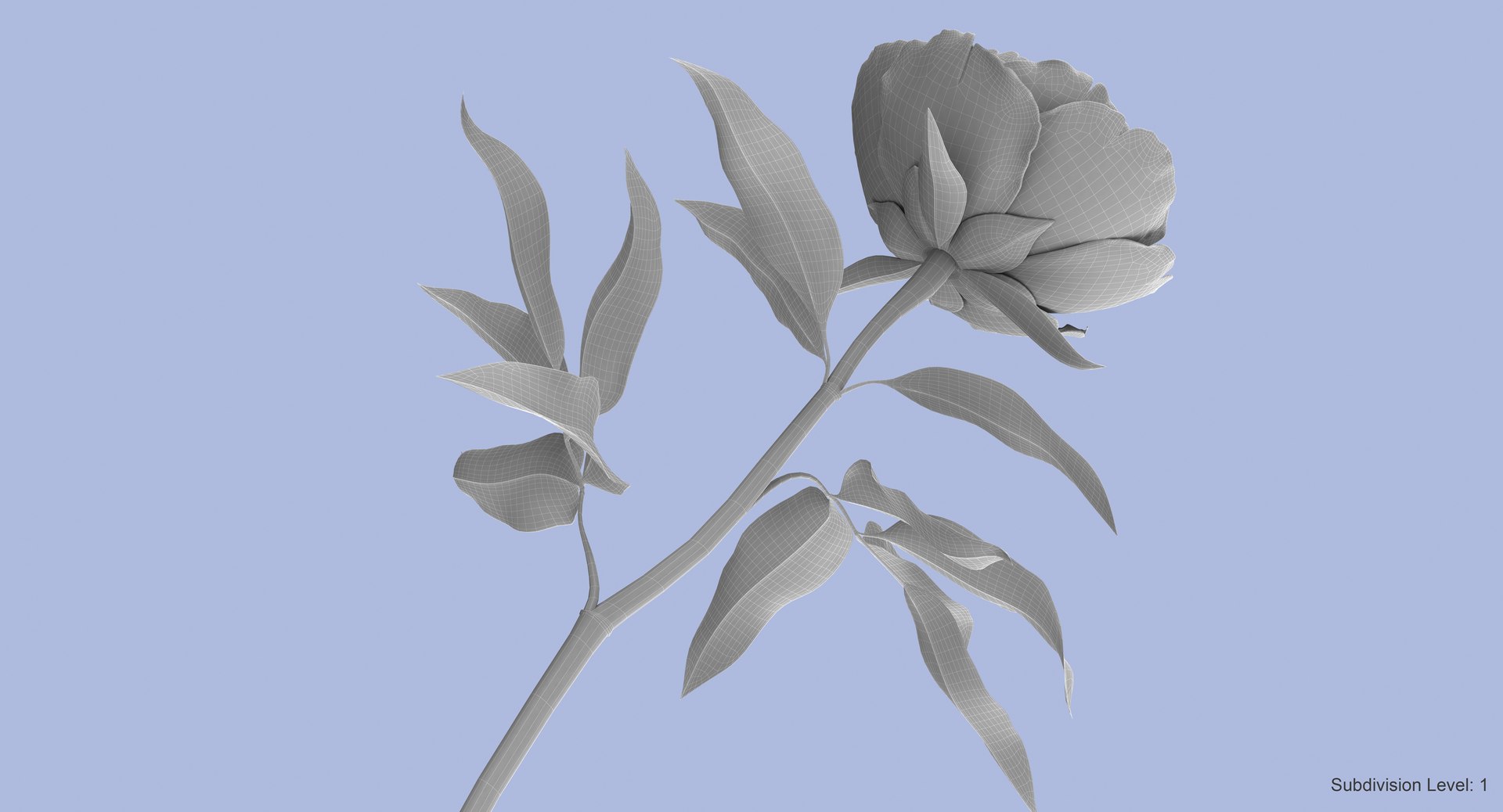 3d petal leaf https://p.turbosquid.com/ts-thumb/8m/PyS0sy/8N4RkBy6/peony1_w3/jpg/1485590835/1920x1080/fit_q87/2a29c4011d160b3597bb39709338398471f327ee/peony1_w3.jpg
