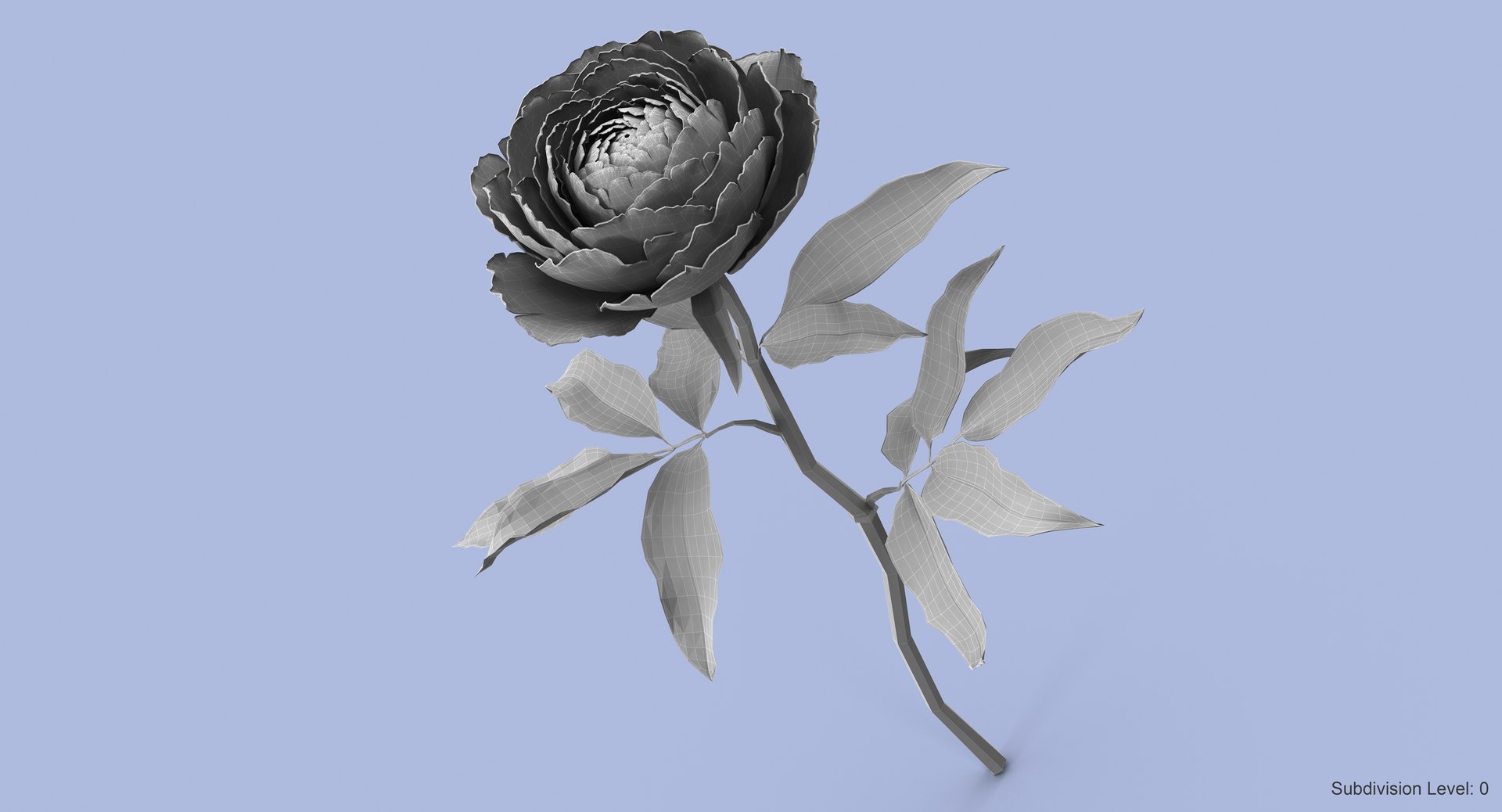 3d petal leaf https://p.turbosquid.com/ts-thumb/8m/PyS0sy/9OzS3dPT/peony1_w2/jpg/1485590420/1920x1080/fit_q87/d0399e9dee9ed2b1b5b0c309040ab8d3794e23c0/peony1_w2.jpg