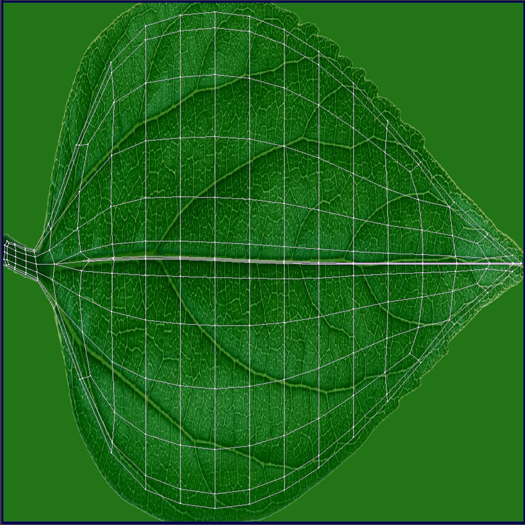 3d petal leaf https://p.turbosquid.com/ts-thumb/8m/PyS0sy/NFRuZf3j/peony1_uv3/jpg/1485589641/1920x1080/fit_q87/f3510b08903bf168459bd6dab8d0ae2ea3aa7bbf/peony1_uv3.jpg