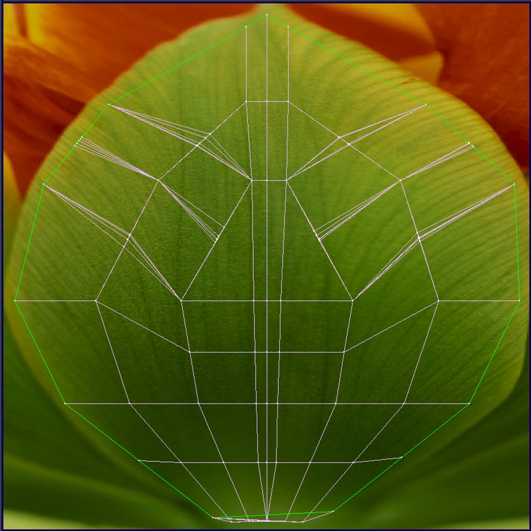 3d petal leaf https://p.turbosquid.com/ts-thumb/8m/PyS0sy/jrsvk6XH/peony1_uv4/jpg/1485589641/1920x1080/fit_q87/65ccf9165836e4ba011a4c9ac335bd088bcf820a/peony1_uv4.jpg