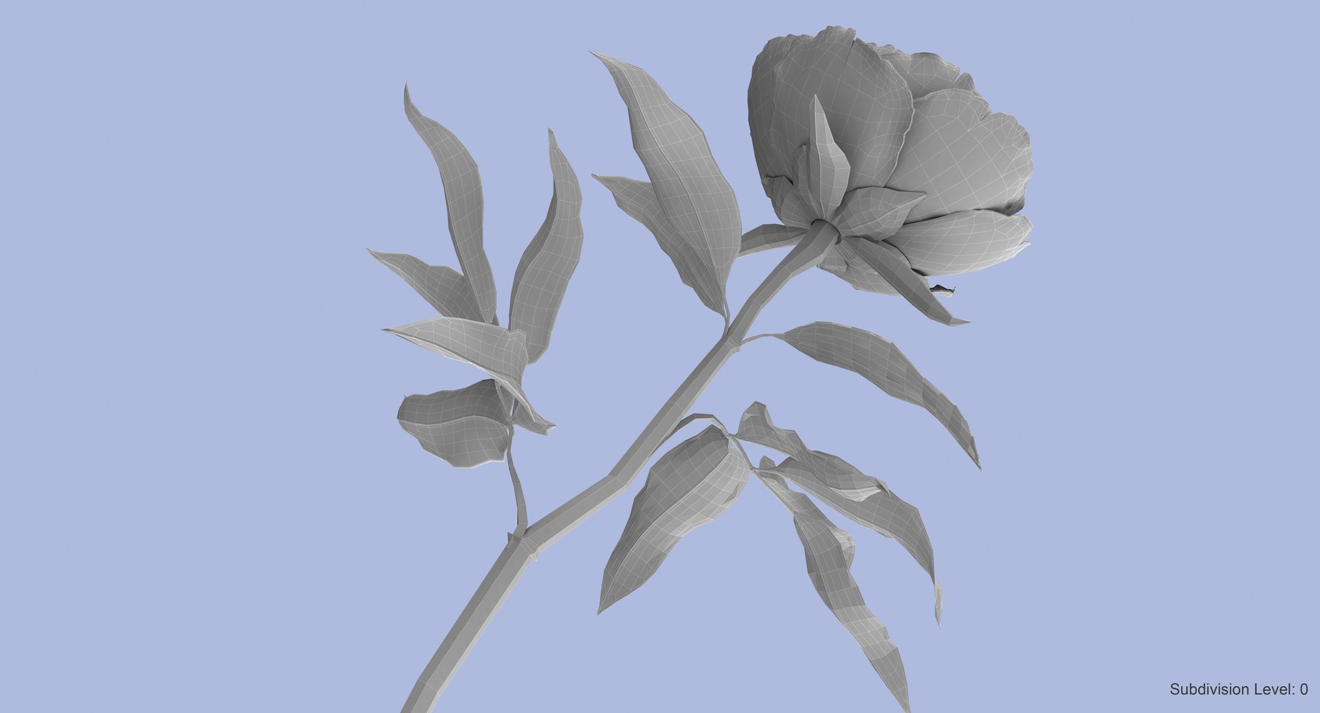 3d petal leaf https://p.turbosquid.com/ts-thumb/8m/PyS0sy/khgid0jN/peony1_w4/jpg/1485591430/1920x1080/fit_q87/97ebbbcb08744c1296416b81315b405c8abd36ce/peony1_w4.jpg