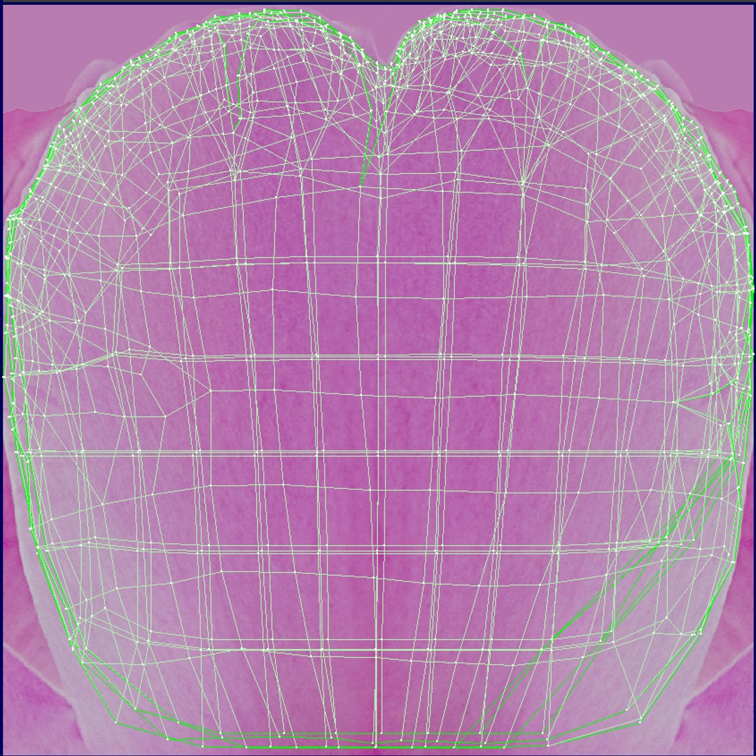 3d petal leaf https://p.turbosquid.com/ts-thumb/8m/PyS0sy/yRbZMUaK/peony1_uv/jpg/1485589641/1920x1080/fit_q87/a1a33768d15b48169f10b0ba4090fd1c6df4a5fc/peony1_uv.jpg