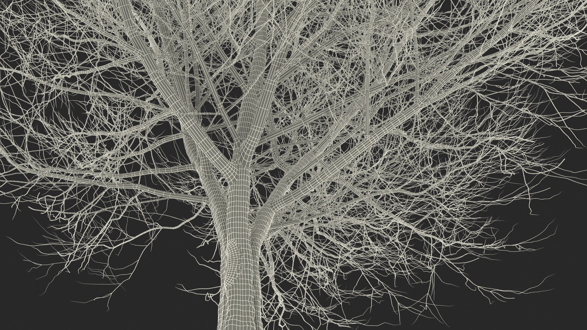 white ash winter 3D model https://p.turbosquid.com/ts-thumb/8m/Qoe4Gv/Aa1zscK7/whiteashwinterc4dmodel018/jpg/1577391738/1920x1080/fit_q87/100135dff24fbb3312e974a6ccb4562d6ae73735/whiteashwinterc4dmodel018.jpg