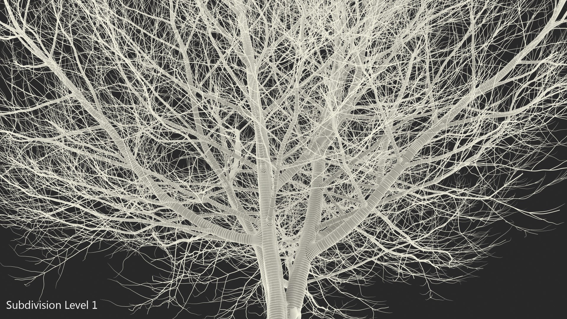 white ash winter 3D model https://p.turbosquid.com/ts-thumb/8m/Qoe4Gv/ccBv4IHg/whiteashwinterc4dmodel010/jpg/1577391696/1920x1080/fit_q87/27eb7801e0e4c75e090ff13e3e9d0dc6708d89e5/whiteashwinterc4dmodel010.jpg