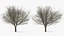 White Ash Winter
