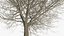 White Ash Winter