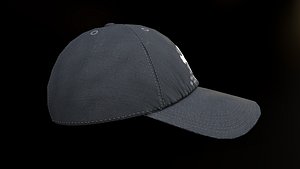 3D NY Cap model