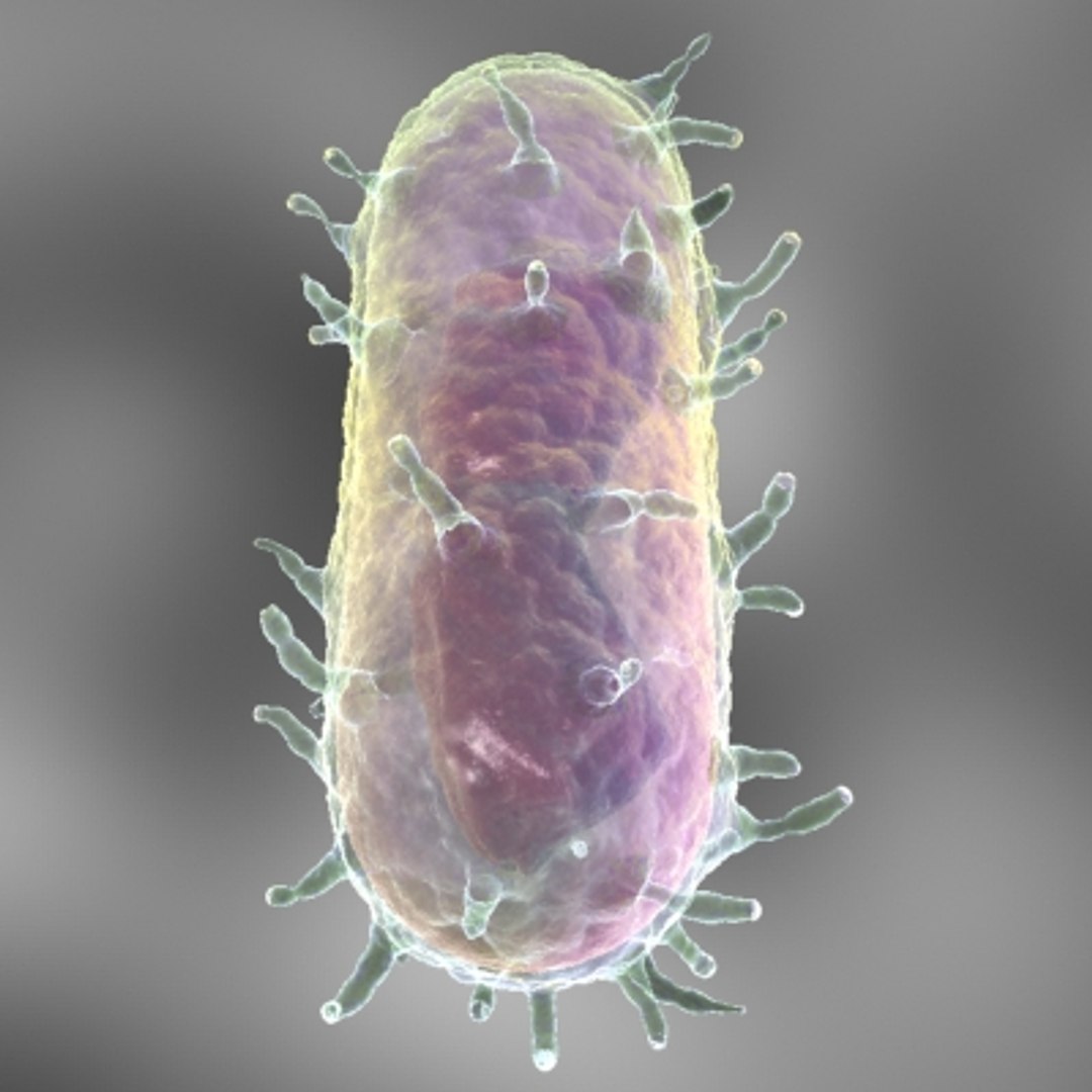 20 micro objects set 3d model https://p.turbosquid.com/ts-thumb/8m/XdeL2H/06YVuRyt/bubonicplague4/jpg/1214228886/1920x1080/fit_q87/559b7b4fe04863f34aa100a8d92122a6f5f0990f/bubonicplague4.jpg