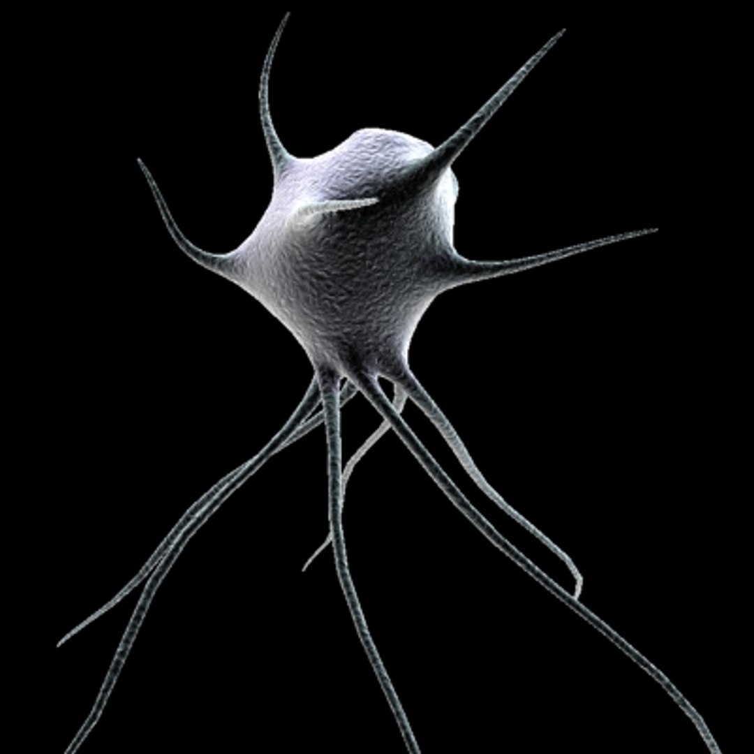 20 micro objects set 3d model https://p.turbosquid.com/ts-thumb/8m/XdeL2H/2XPoFaOl/nerve/jpg/1214229015/1920x1080/fit_q87/762cd2795dc90ab24a06f6fe051fcd6845902414/nerve.jpg